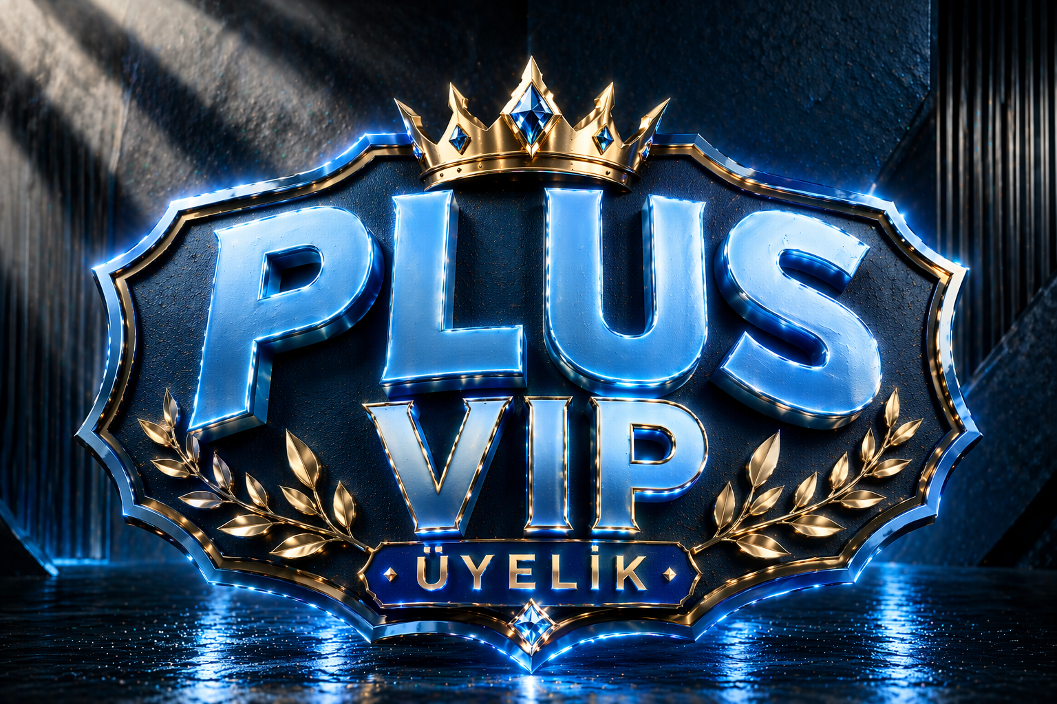 Plus VIP
